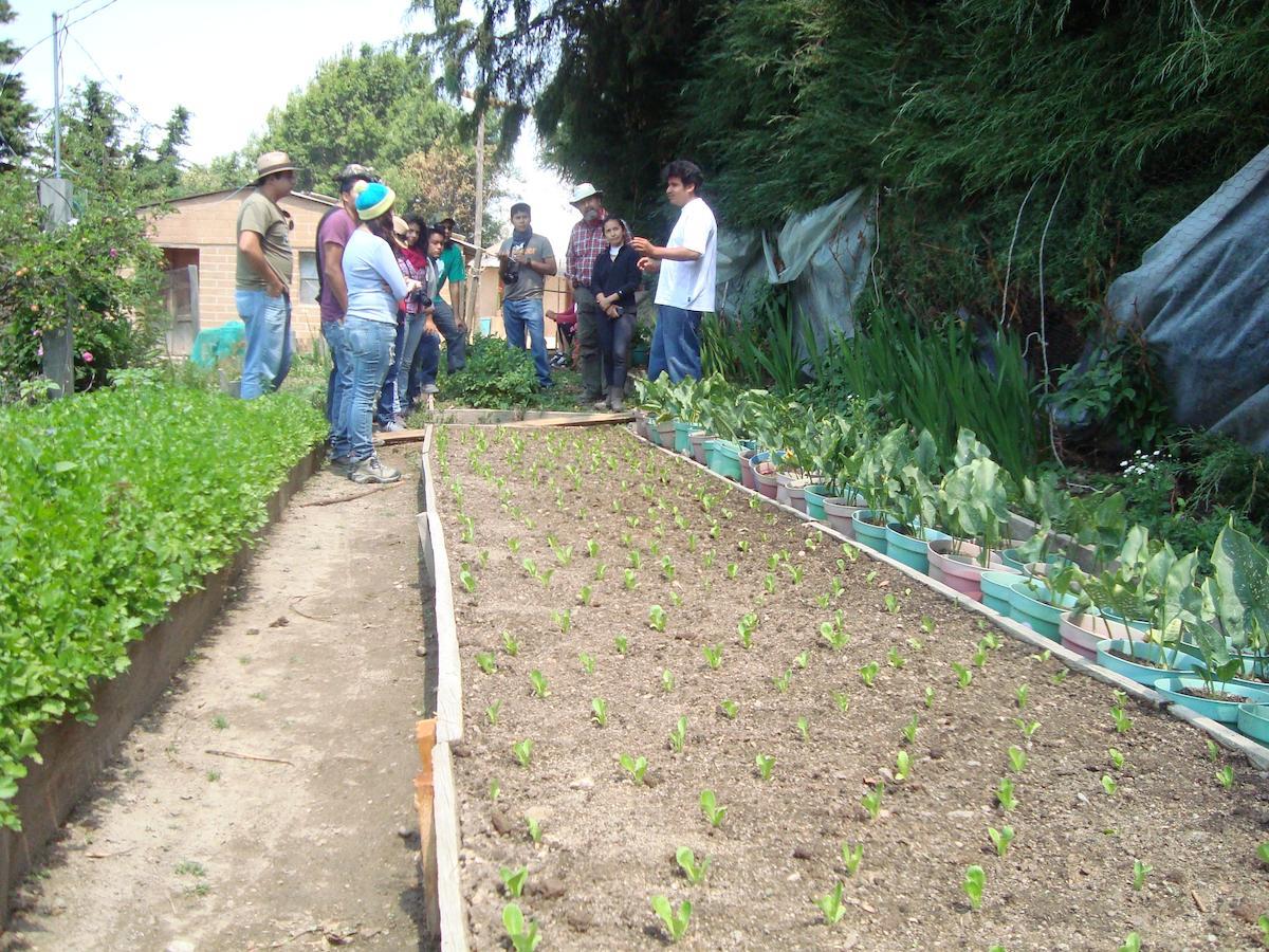 Centro Ecoturistico Cabanas Benito Juarez Villa Cuajimoloyas Luaran gambar